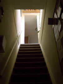Trap.jpg (15243 bytes)